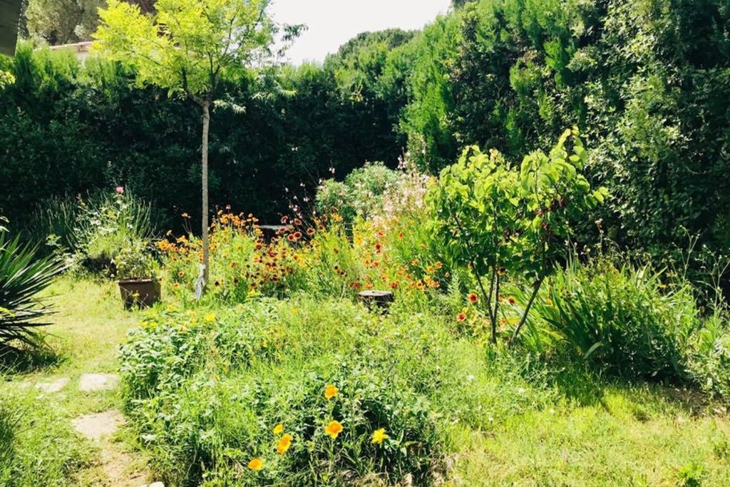 House With Garden, Downtown By Walk Apartment