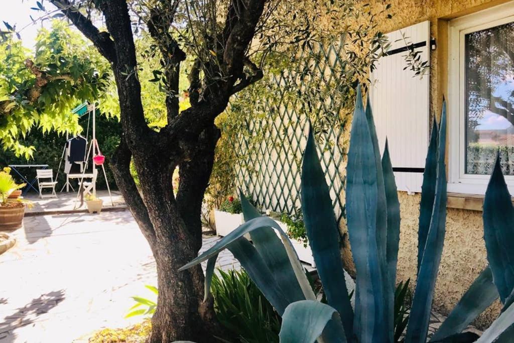 Apartment House With Garden, Downtown By Walk *